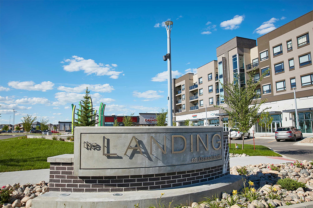 The Landing